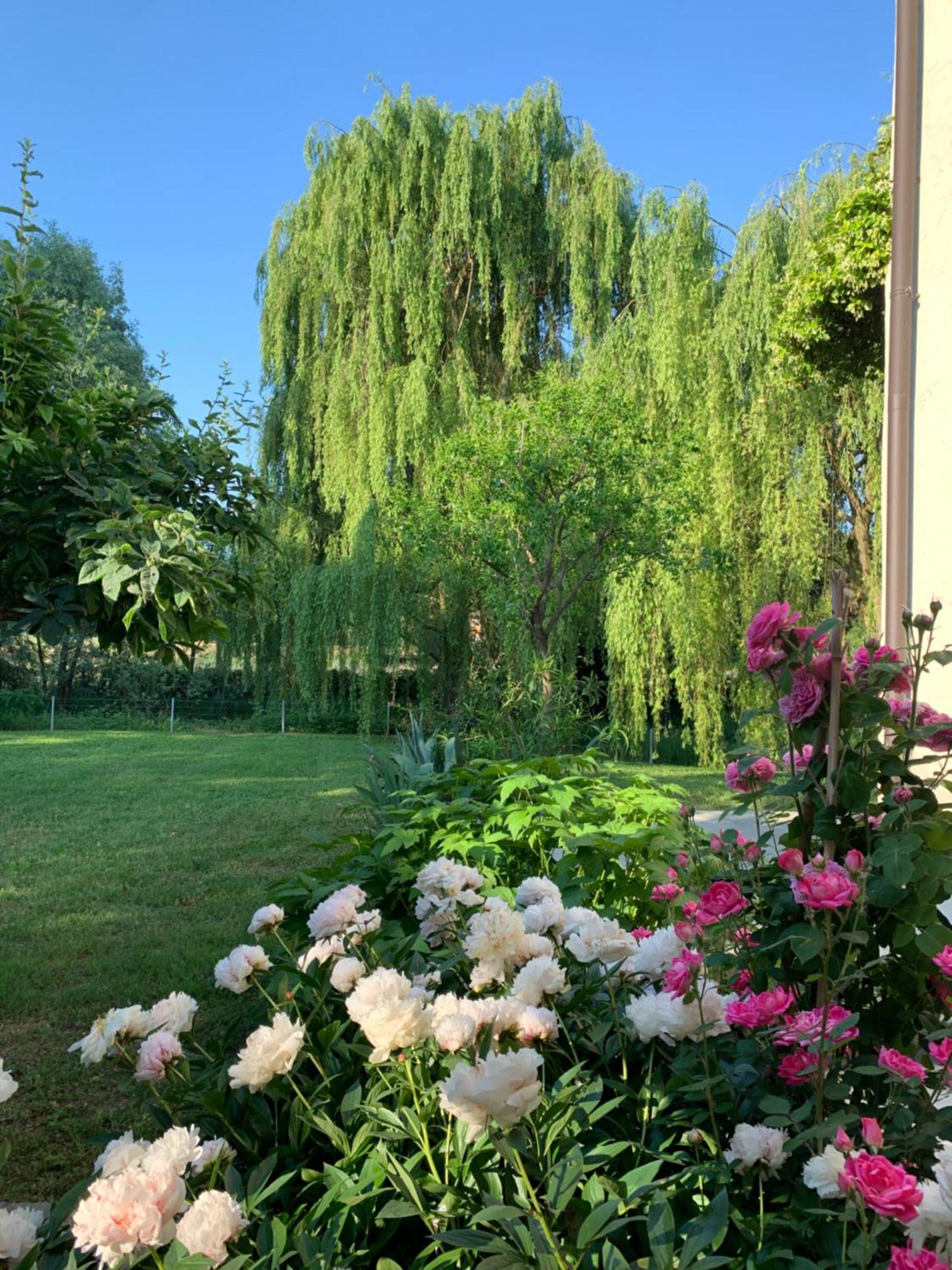 L'Isolo B&B E Case Vacanza Monzambano Exterior photo